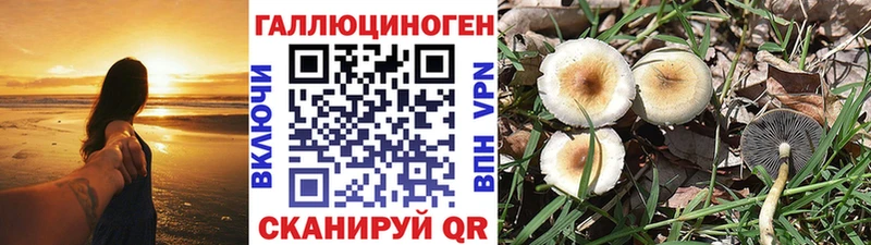 Галлюциногенные грибы ЛСД  даркнет сайт  Шелехов 